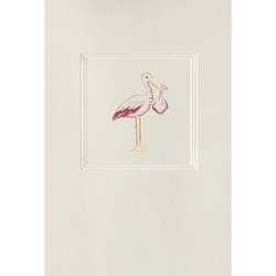 Pink Stork 