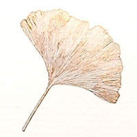 Ginko