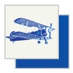 blue bi-plane