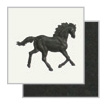 black horse