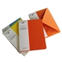 Color Vellum XL Cards 25pk - OCM378