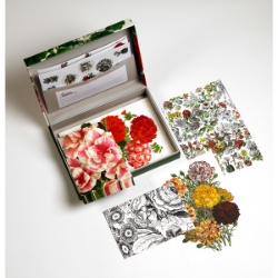Pepin Letter Writing Sets