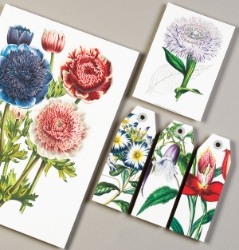 Pepin Papercraft Books