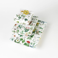 Pepin Gift & Creative Paper Books